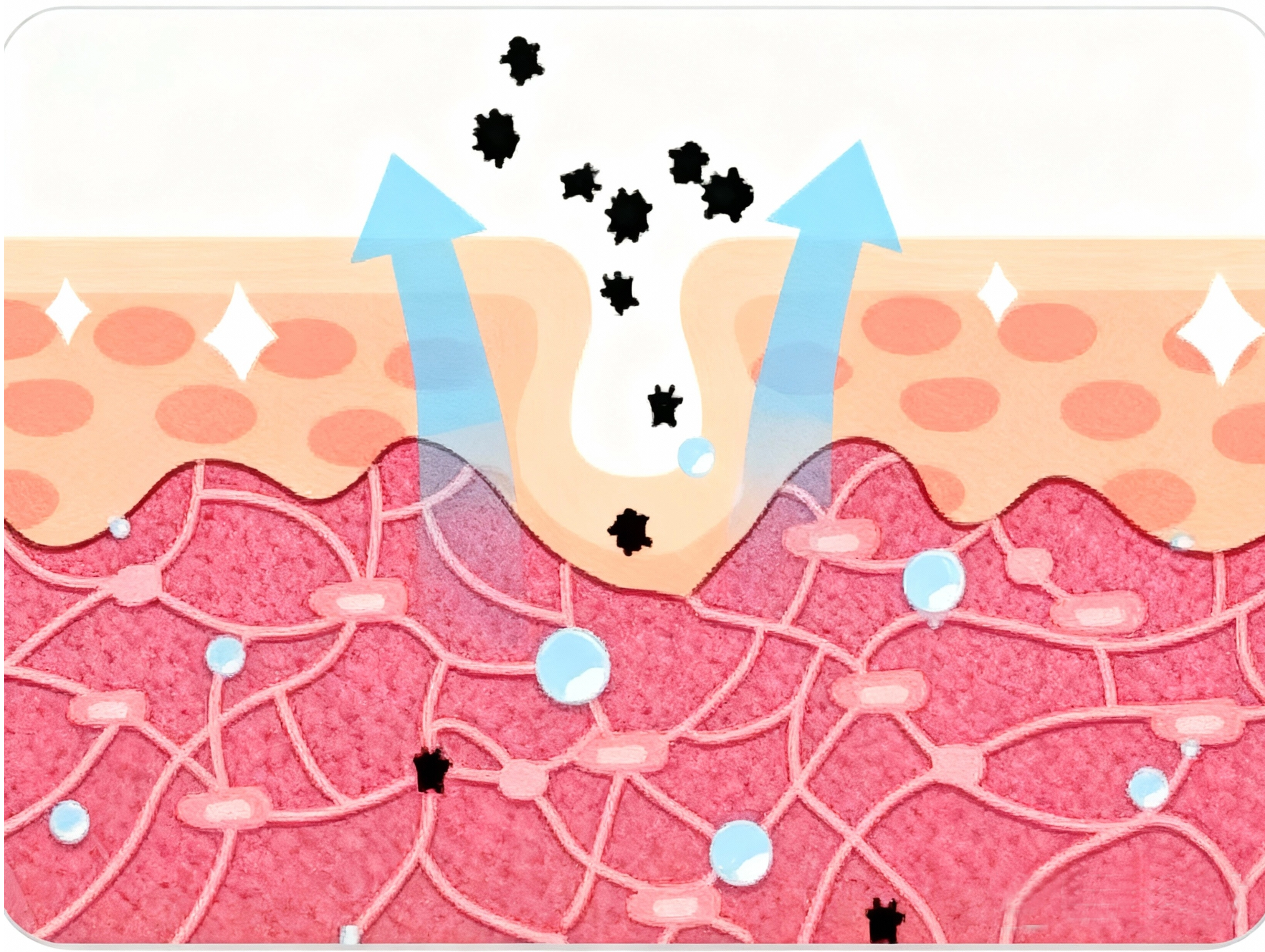 HONY D001 Edição antioxidante: antienvelhecimento científico, reconstrói a defesa da pele